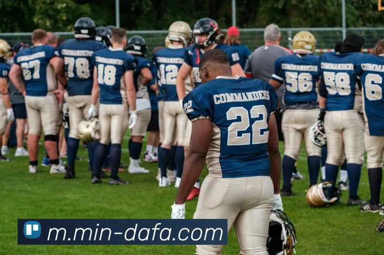 大发娱乐平台生态图